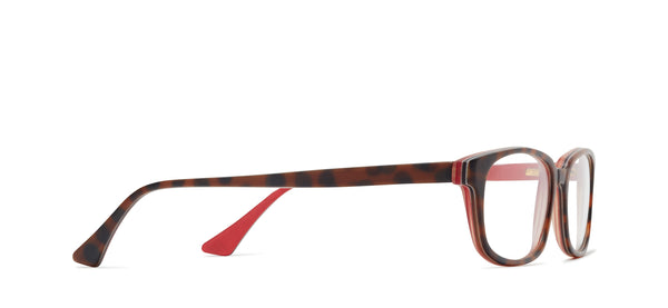 Scholars 342 Horn – Morgenthal Frederics