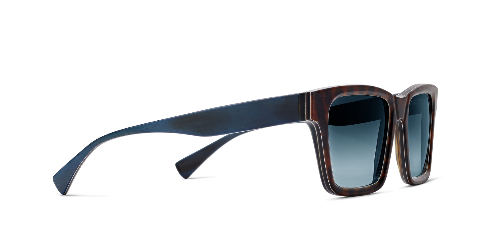 MF_Steve_Horn_193782-b-