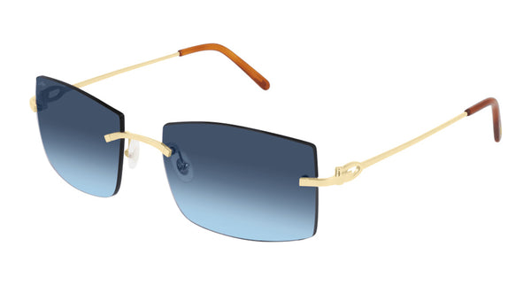 CT0005RS-001 in gold / tortoise