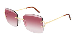 CT0007RS-001 in gold / tortoise