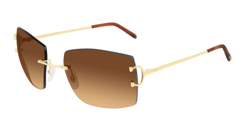 CT0009RS-001 in gold / tortoise