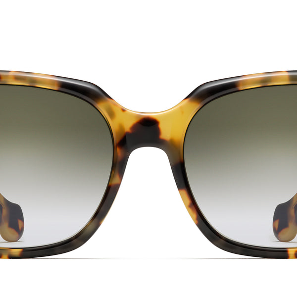 Classic Acetate - Epic in Tokyo Tortoise / Avocado  display picture 3